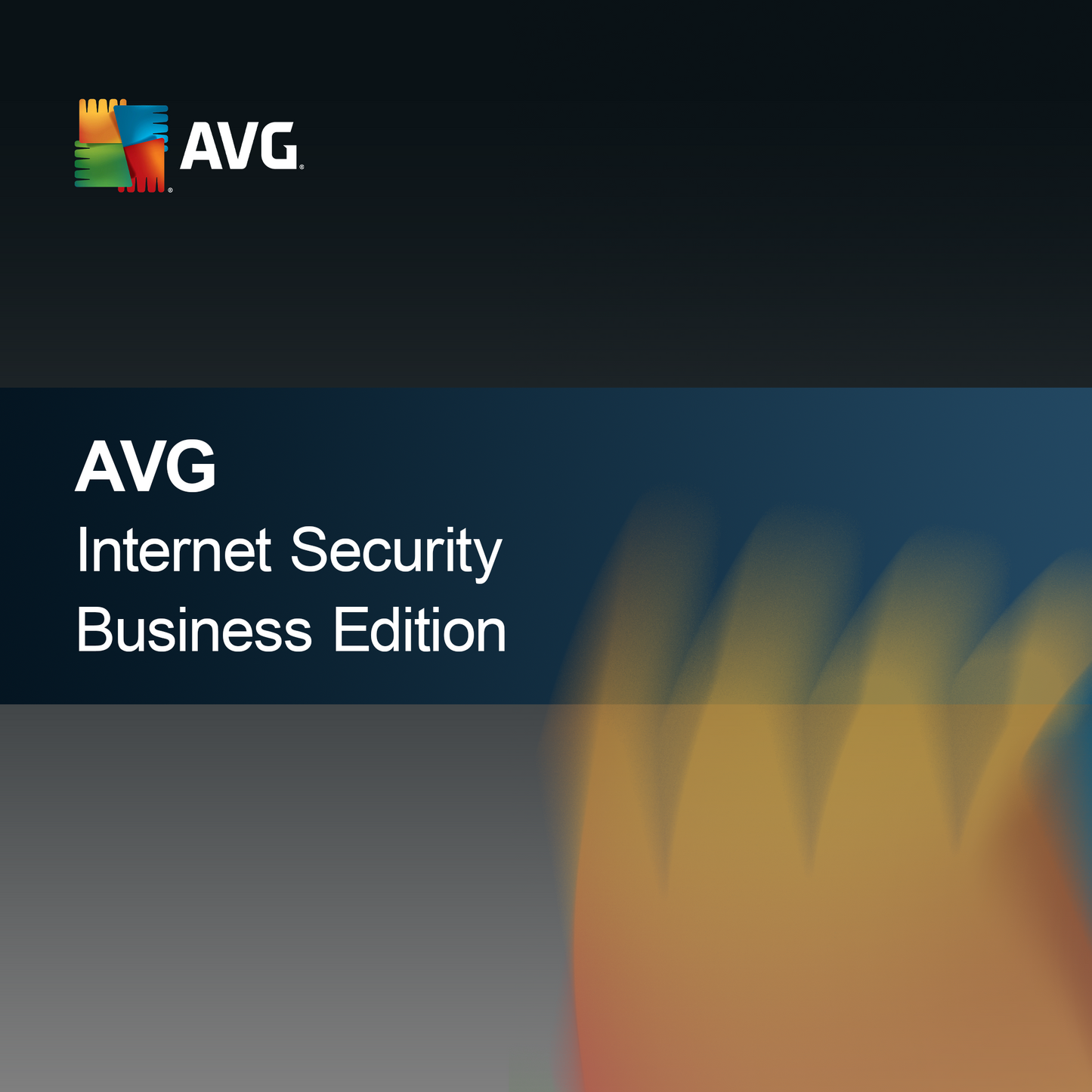 AVG Internet Sikkerhed Erhvervsudgave