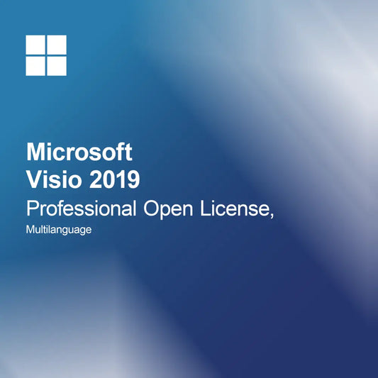 Microsoft Visio 2019 Professional Licență Deschisă, Multilingv
