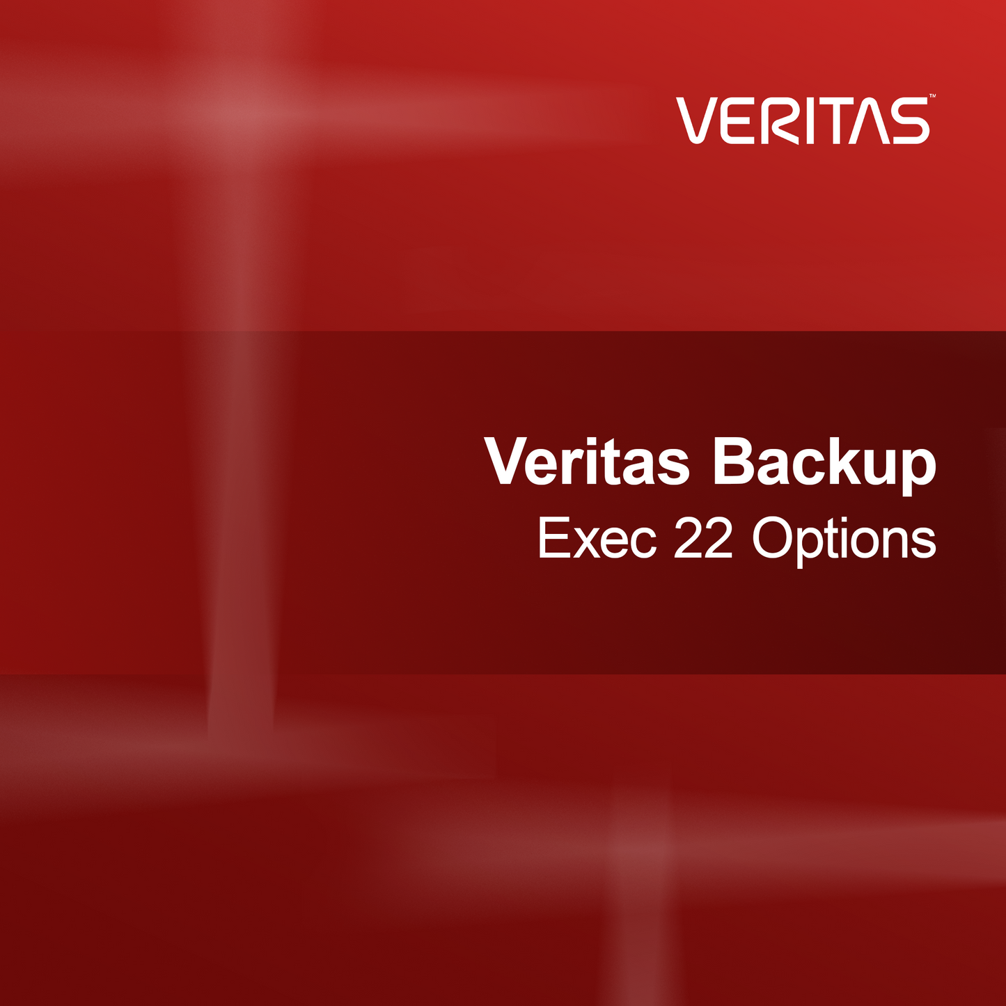 Опции на Veritas Backup Exec 22